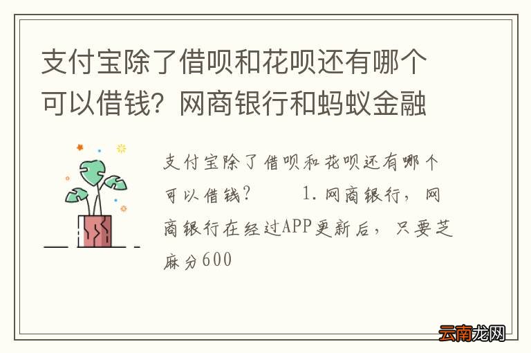 支付宝除了借呗和花呗还有哪个可以借钱？网商银行和蚂蚁金融