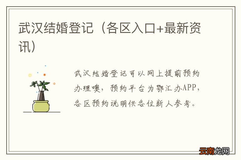 各区入口+最新资讯 武汉结婚登记
