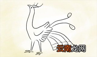 如何画孔雀简笔画 简单7步画出漂亮孔雀惟妙惟肖