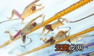 蛙泳如何蹬腿 你了解吗