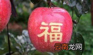 苹果上有字,这是怎么弄上去的,吃了有影响吗? 有具体介绍吗