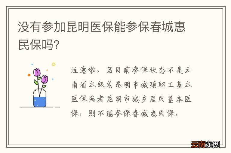 没有参加昆明医保能参保春城惠民保吗？