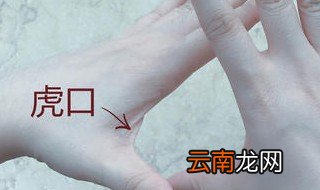 虎口在哪 有虎口的具体介绍吗