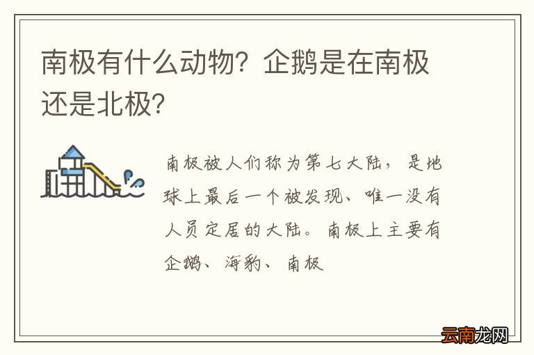 南极有什么动物？企鹅是在南极还是北极？