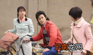 辛杰文丽田歌是什么电视剧 讲述了什么内容