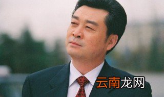 石亚楠市委书记是什么电视剧 主演是谁