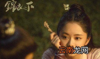 锦衣之下每周几集 讲述了什么故事