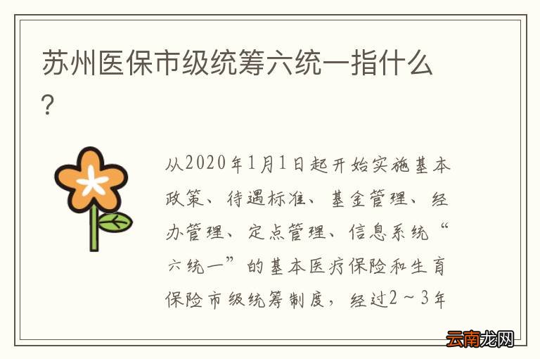 苏州医保市级统筹六统一指什么？