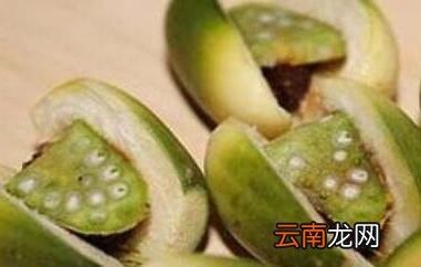 槟榔的功效与作用 槟榔致癌为什么不禁止