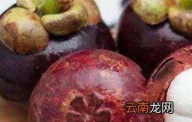 山竹怎么做茶 山竹茶叶的功效与作用