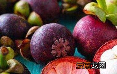 山竹怎么做茶 山竹茶叶的功效与作用