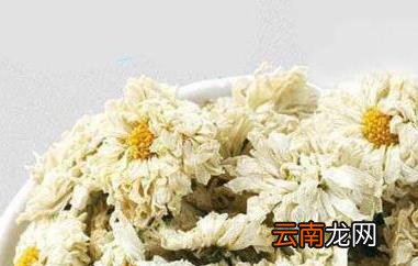 贡菊花和胎菊花的区别