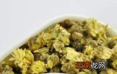 贡菊花和胎菊花的区别
