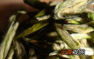 雨花茶的功效与作用有哪些