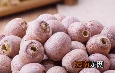 通心红莲的功效与作用