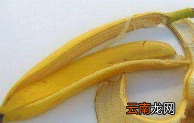 香蕉皮的功效与作用 香蕉皮的十大用处