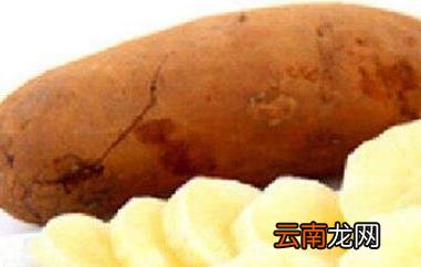 雪莲果的作用与功效及禁忌