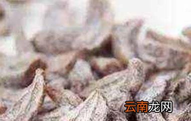 青津果的功效与作用