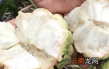 释迦果的营养价值与功效
