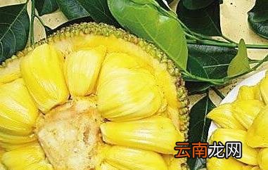 菠萝蜜的胶怎么洗 菠萝蜜果肉上的胶怎么洗掉