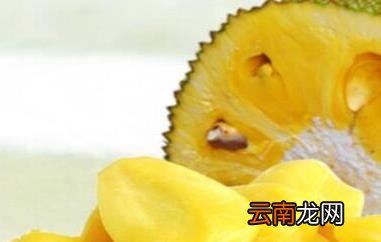 菠萝蜜的胶怎么洗 菠萝蜜果肉上的胶怎么洗掉