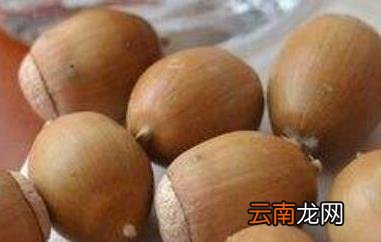 橡实和榛子的区别 吃橡实的好处
