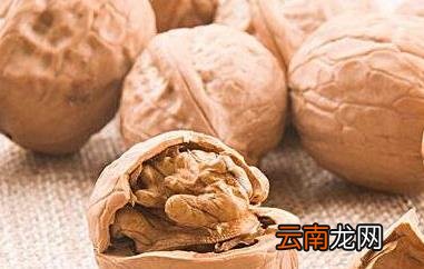 核桃硬壳的功效与作用 核桃壳的药用价值
