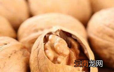 核桃硬壳的功效与作用 核桃壳的药用价值