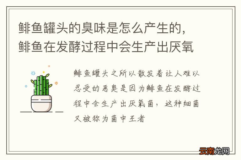 鲱鱼罐头的臭味是怎么产生的，鲱鱼在发酵过程中会生产出厌氧菌