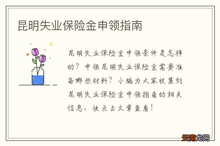 昆明失业保险金申领指南