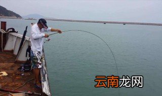 海钓用什么竿子? 都有什么类型的