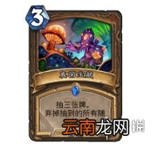炉石传说野猪OTK德卡组推荐 炉石传说野猪OTK德怎么玩