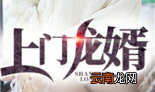 上门龙婿结局 上门龙婿结局出来了吗