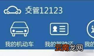 交管12123怎么选牌照 方法其实很简单