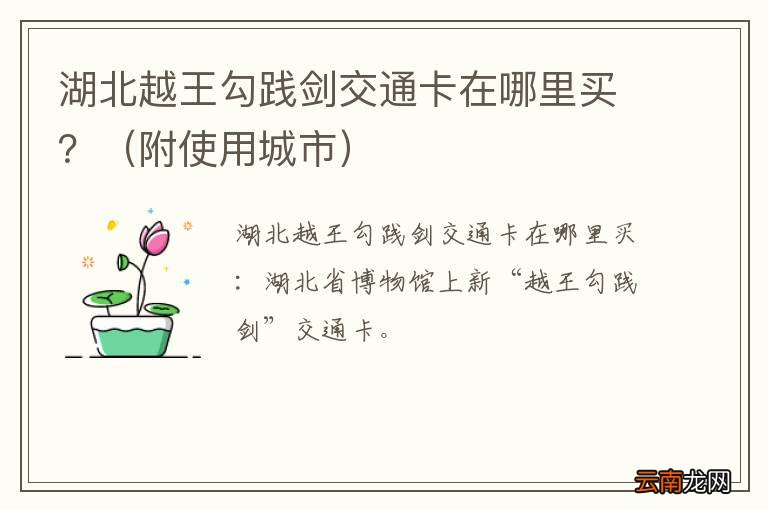 附使用城市 湖北越王勾践剑交通卡在哪里买？