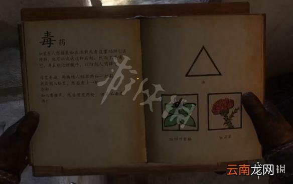 天国拯救炼药表配方图鉴大全 草药集全药剂配方图文介绍 健胃药剂_网