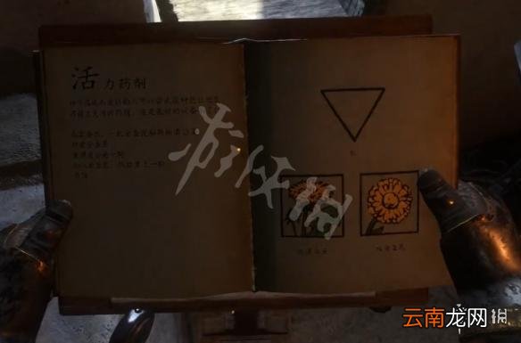 天国拯救炼药表配方图鉴大全 草药集全药剂配方图文介绍 健胃药剂_网