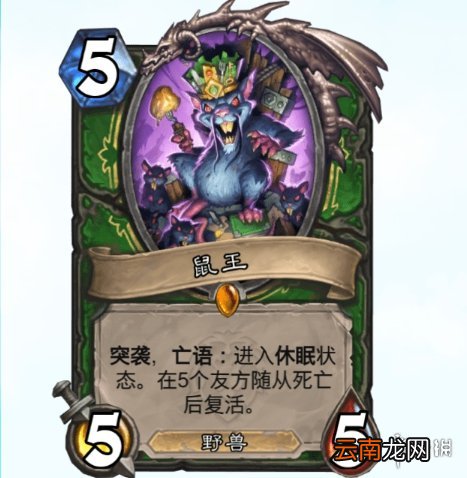 炉石传说鼠王能进构筑吗 炉石传说鼠王卡牌效果一览