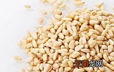 松子仁的功效与作用 松子仁的禁忌