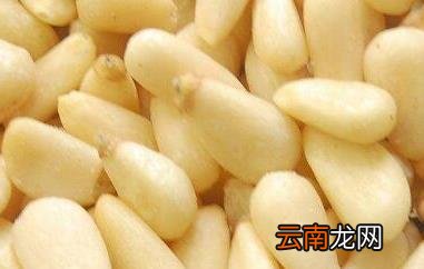 松子仁的功效与作用 松子仁的禁忌