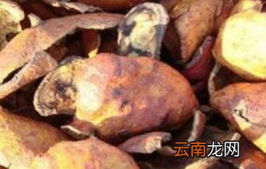 炒石榴皮的功效与作用