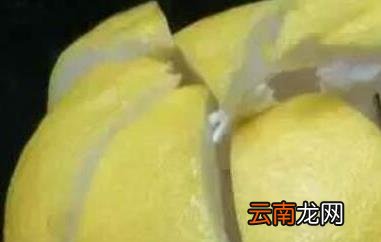 柚子皮怎么做好吃 柚子皮的做法大全