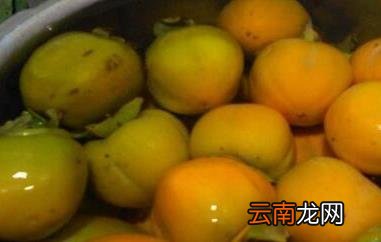 青柿子泡酒的功效与作用