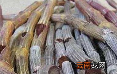 紫皮石斛怎么种 紫皮石斛的种植方法技巧