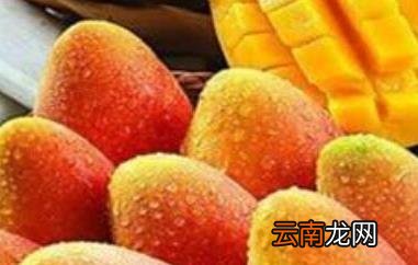 怎么区分芒果能不能吃 吃芒果的好处