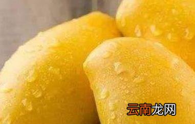 怎么区分芒果能不能吃 吃芒果的好处