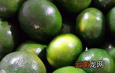 绿橘子的营养价值 吃绿橘子的好处