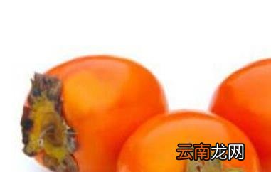 脆皮懒柿子怎么做 脆皮懒柿子的家常做法教程
