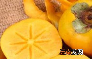 黄柿子的功效与作用 吃黄柿子的好处有哪些