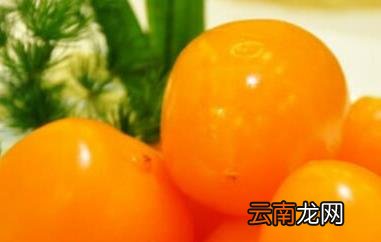 黄柿子的功效与作用 吃黄柿子的好处有哪些